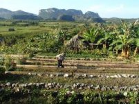 Finca Marta, un grand projet d'agriculture écologique