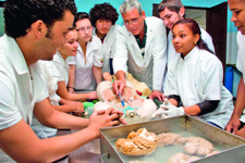  Premier partenariat universitaire en médecine entre Cuba et les États-Unis