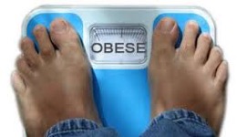 L'obésité, un problème mondial...