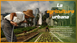 Cuba : Le programme d'agriculture urbaine, suburbaine et familiale fête ses 33 ans