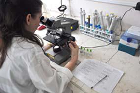 LABEX, laboratoire cubain étend ses secteurs de production...
