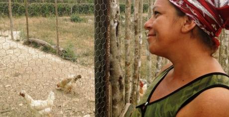 L'œuf et la poule : une source de revenus durables et un modèle d'égalité des sexes à Cuba