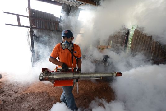 La dengue : « C'est sans aucun doute une menace plus importante que jamais » 