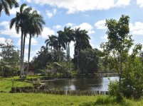Ciénaga de Zapata, une bonne option pour l'écotourisme à Cuba