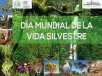 Cuba, à propos de la Journée mondiale de la vie sauvage