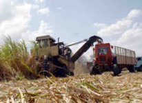 L'agriculture cubaine nécessite des investissements millionnaires jusqu'en 2030 !