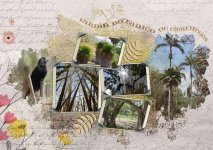 Jardin botanique de Cienfuegos, 97 hectares d'espèces exotiques