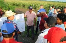 Cuba dénonce les effets du blocus des Etats-Unis sur l'agriculture et l'alimentation