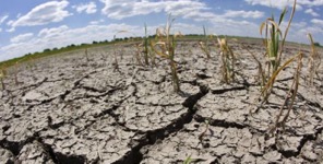 Face à l'intense sécheresse, un appel est lancé pour l'utilisation rationnelle de l'eau