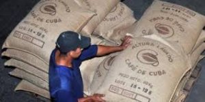 La plus grande entreprise exportatrice de café concrétise la première opération commerciale directe vers le marché européen. 
