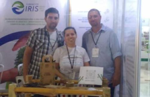 Des entreprises promeuvent l'utilisation du bambou à Cuba