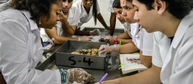 Tour de Babel à Cuba : l'école de médecine gratuite et solidaire